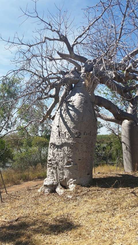 Photo: Gregory's Tree Historical Reserve